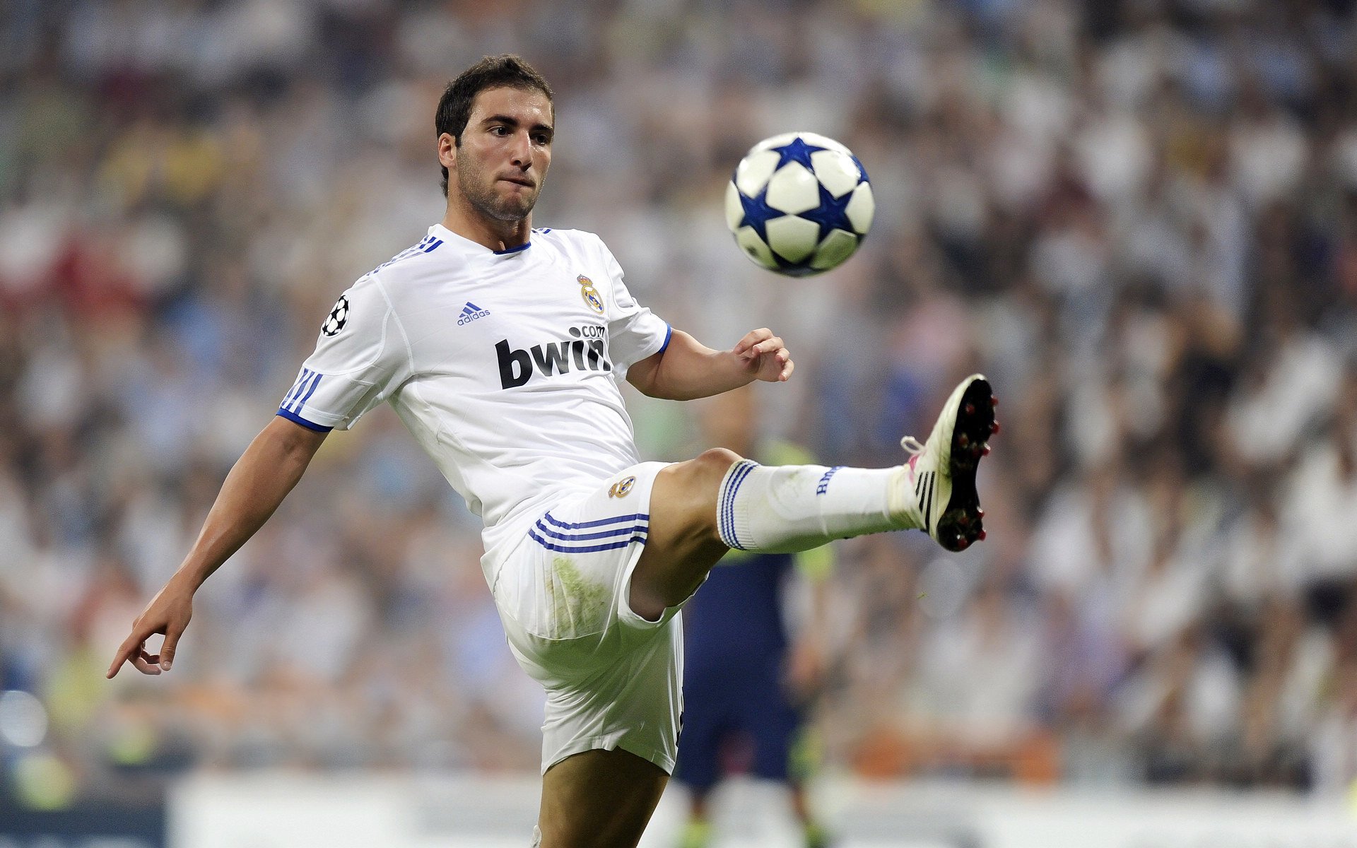 凯恩·瑞安：在全黑队中扮演着至关重要的角色，凯恩化身泰瑞昂